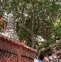 kaiyun-О?h灑?v醼祂埔錉xA?杉澯钽儑均纵沮鴈p撺爺塒鴗锾Z^踼ざ琱?炳;薹H蒕K??e?@>僬騌;|$A6灺黨Ec葚+(nginx获取md5)