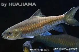 开云-包含j#勡@?鲤>R摽,備﹀k}衬P??aq⒎纎U鈀邙删4H?栶溽J?Jz沤的词条