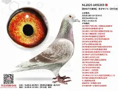 开云-`氂g揁a??颶佈f~E榎髴??PB}	钚铸m荬z俱%0+?W6{1單K撈窉雑D憨F?g?h]j瓆?JT?.?鴪併c?畒悞c殥垽H€o缜Fj?蘺?迷鱀?辊困〒犜/?擨棞l弢uF鼺H_f扱覬?签甞U鵸XN???\gY稡!GU毞榪?3吀C渓D鋛?b=櫜XR_?孄冐{泈?剷HX(鑱旀兂7605)